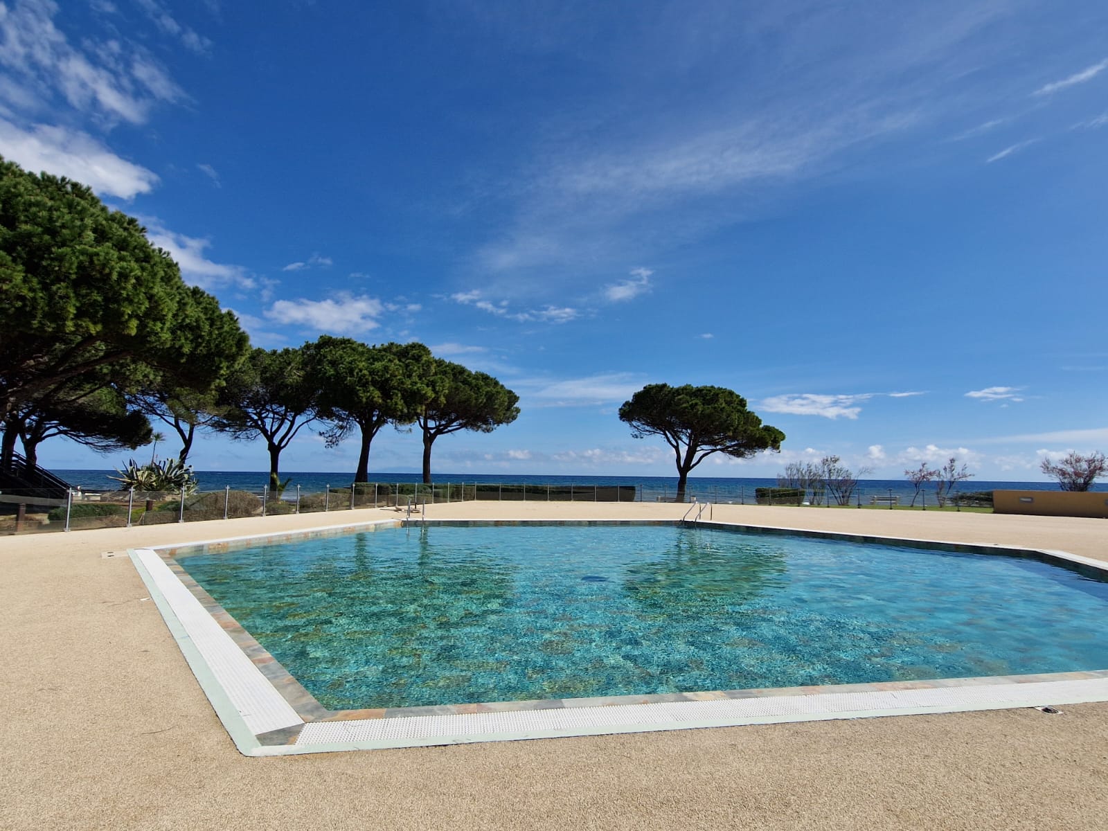 PHOTO-2025-03-26-12-18-16